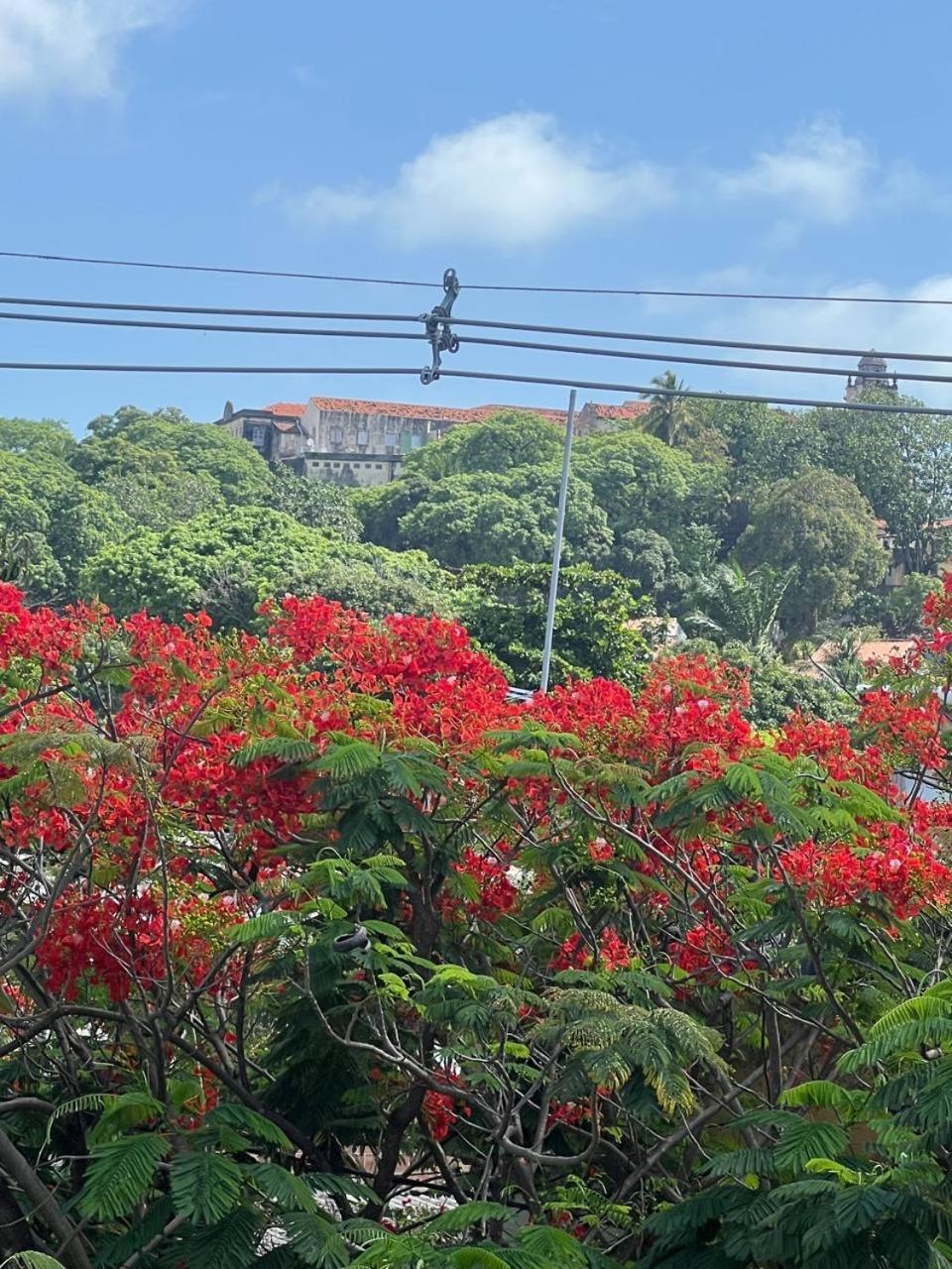Pousada Do Leo Olinda Exterior foto